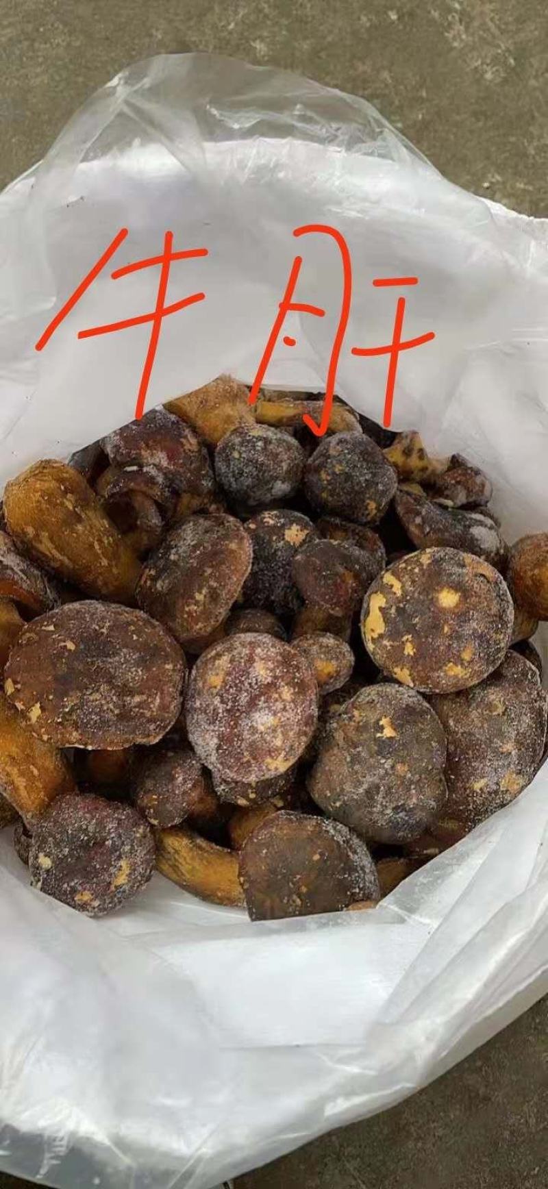 云南野生菌，美味牛肝菌，冻货，昆明仓库，欢迎来电咨询