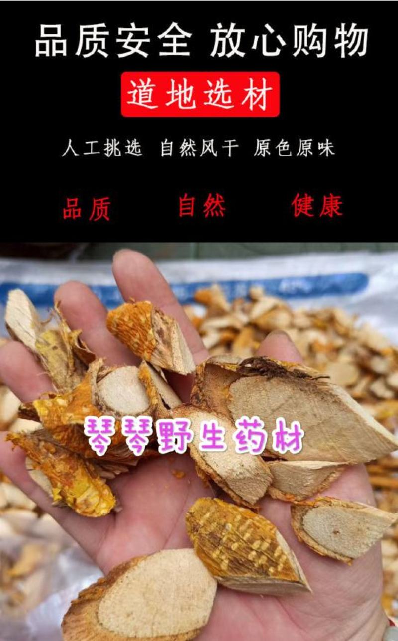 纯正野生中药材穿破石柘木根川破石地棉根切片干品新