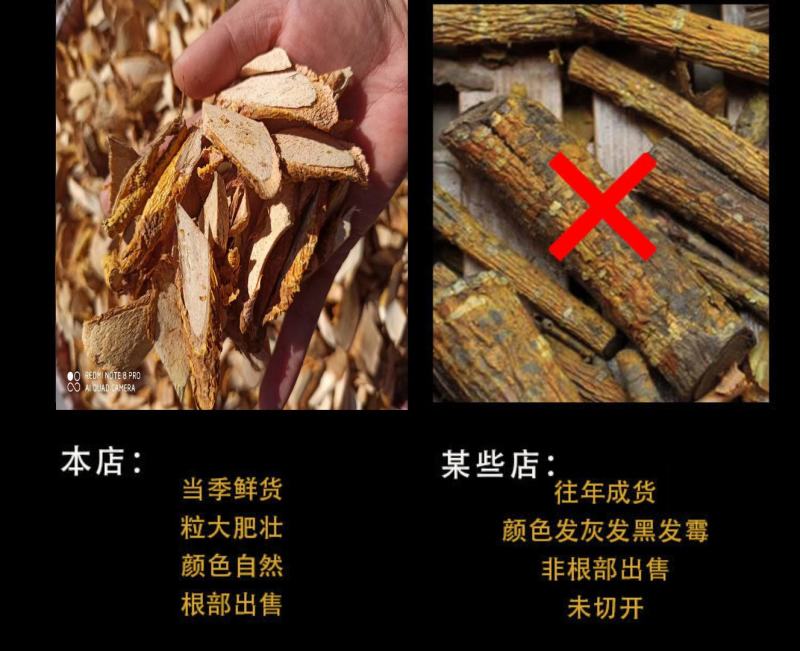 纯正野生中药材穿破石柘木根川破石地棉根切片干品新