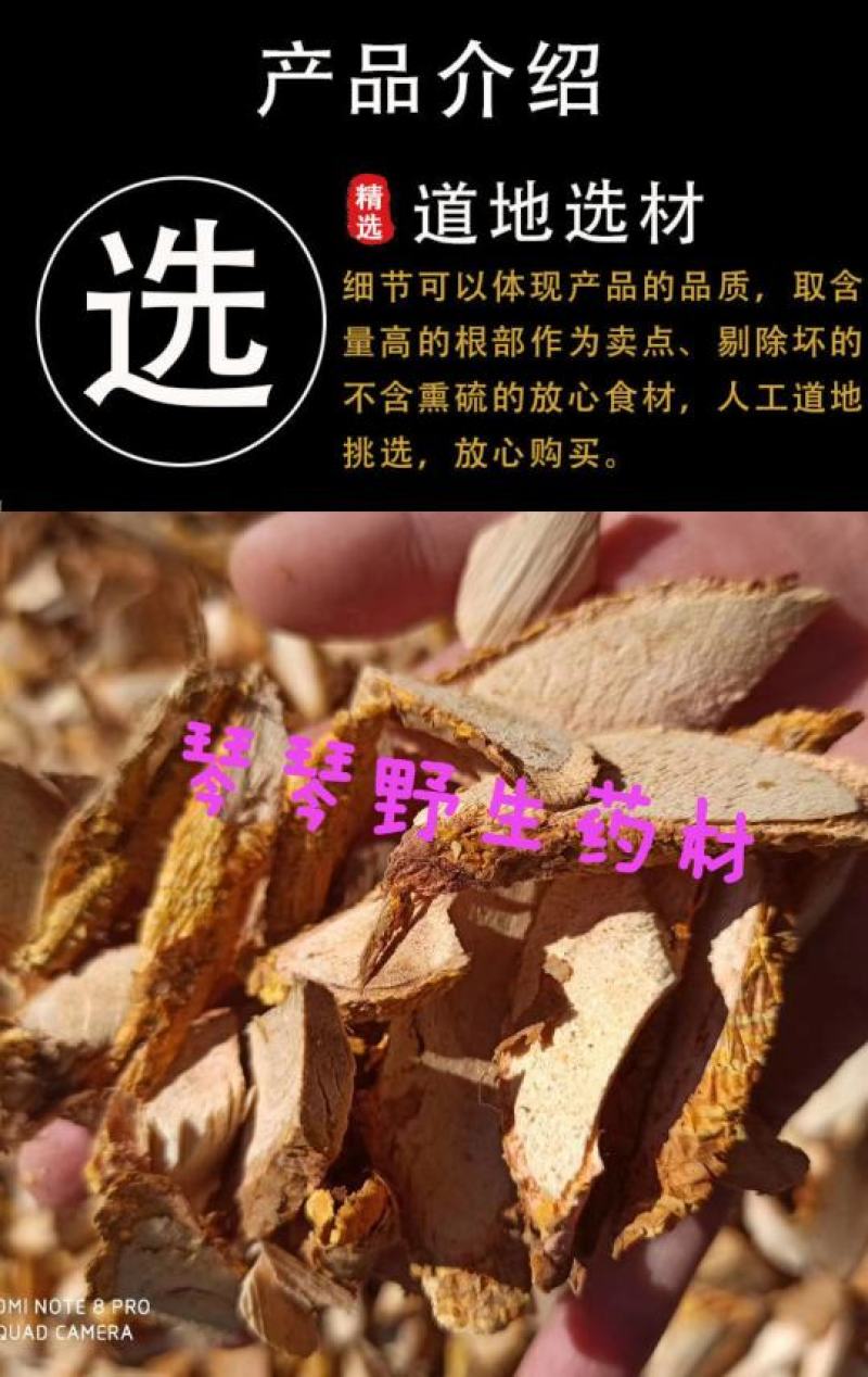 纯正野生中药材穿破石柘木根川破石地棉根切片干品新