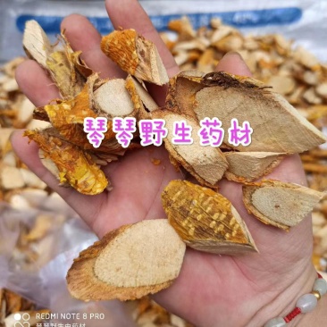 纯正野生中药材穿破石柘木根川破石地棉根切片干品新