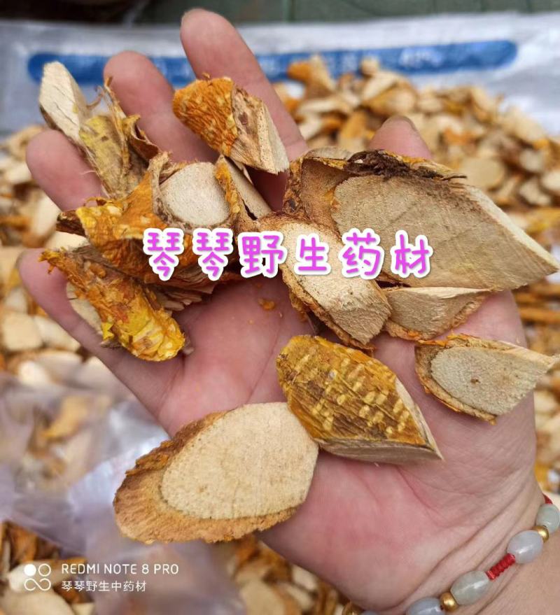 纯正野生中药材穿破石柘木根川破石地棉根切片干品新