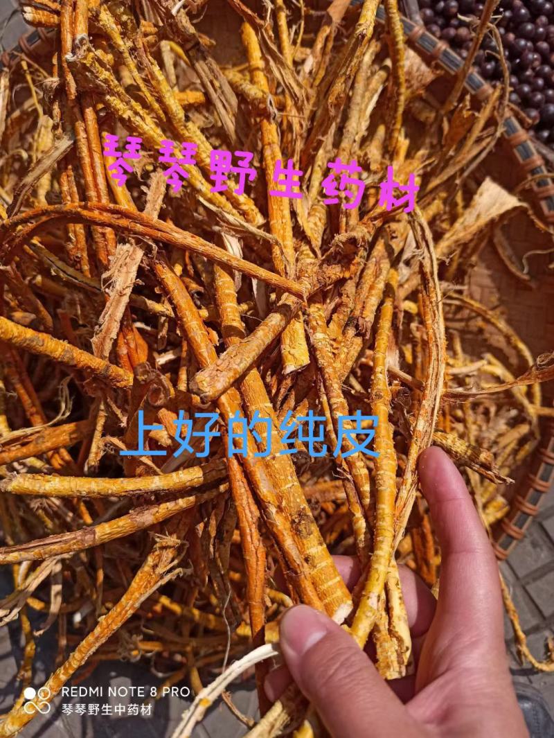 纯正野生中药材穿破石柘木根川破石地棉根切片干品新