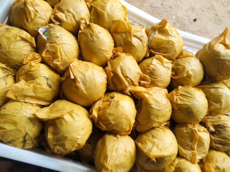 皇冠梨，原装袋皇冠梨。绿色水果，量大优惠。