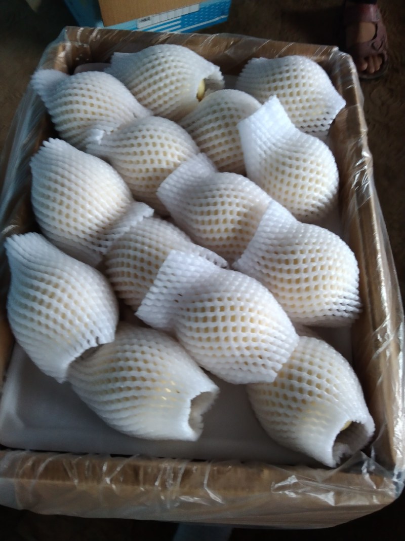 皇冠梨，原装袋皇冠梨。绿色水果，量大优惠。