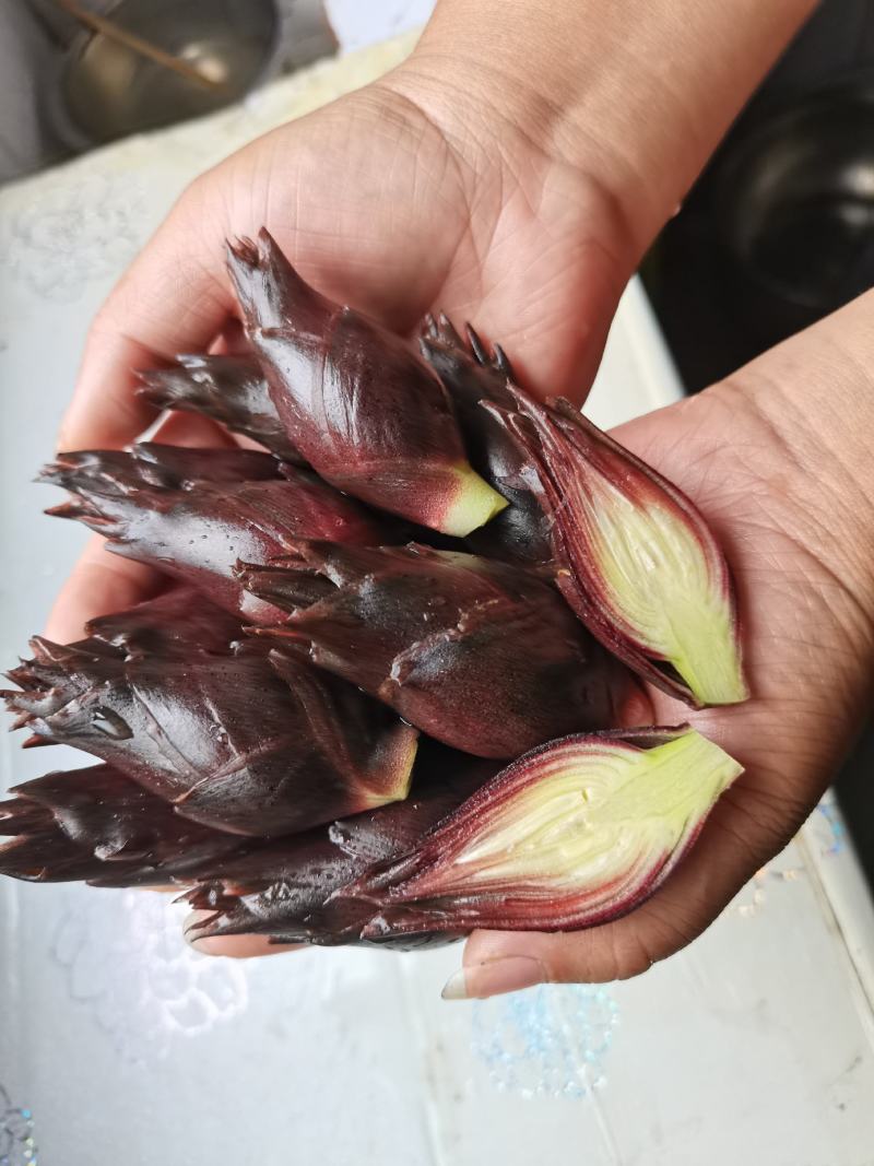 阳荷批发零售大降价