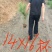 营养杯油松苗，高度1米油松，1米2油松，1米4油松杯苗
