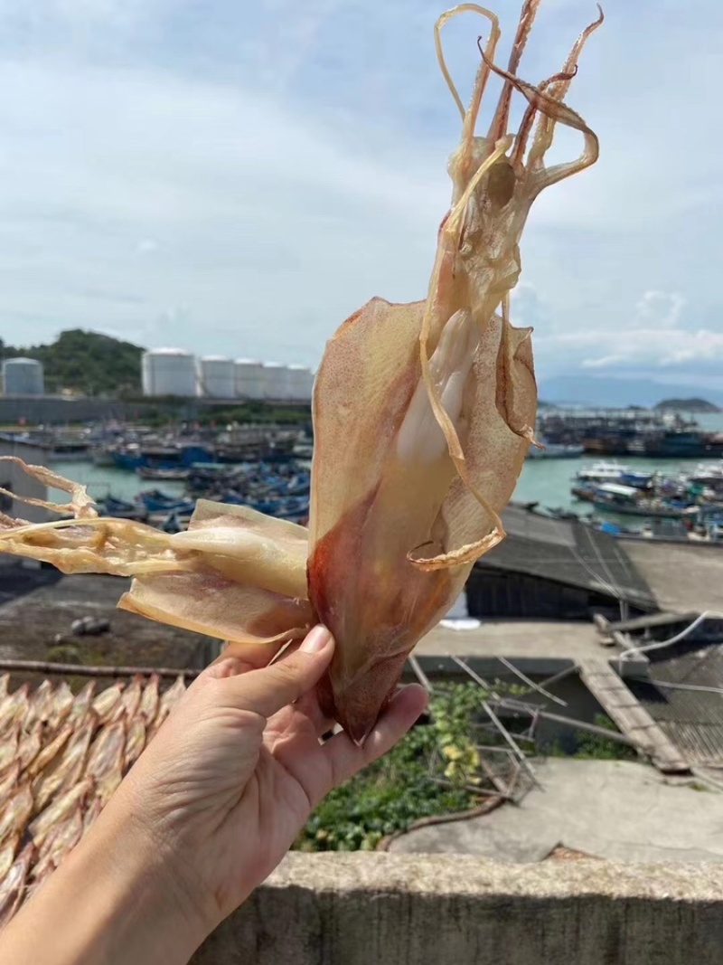 东山鱿鱼母，补品