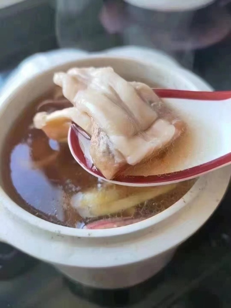 东山鱿鱼母，补品