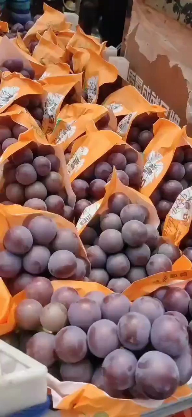 乒乓球邯郸万亩葡萄基地，种植面积大，品种多，