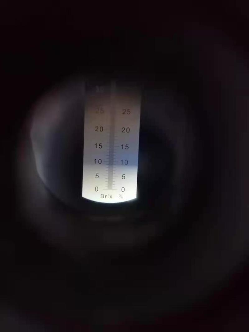 湖南猕猴桃早熟绿心猕猴桃黑子了，一件代发社团电商
