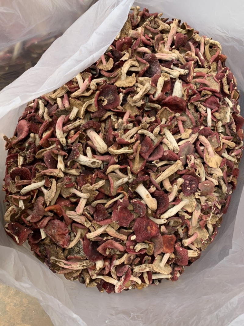 野生菌红菇中小菇