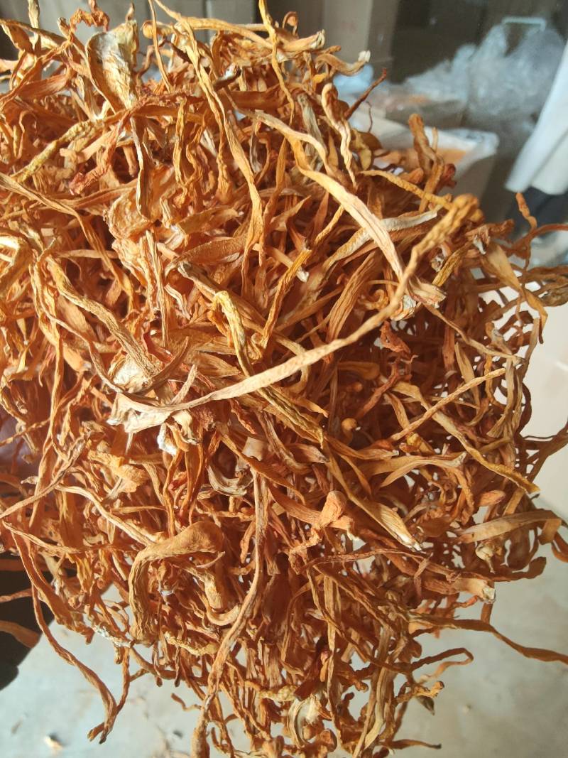 【有机虫草花】一级切根虫草花颜色好干净适合打小包装