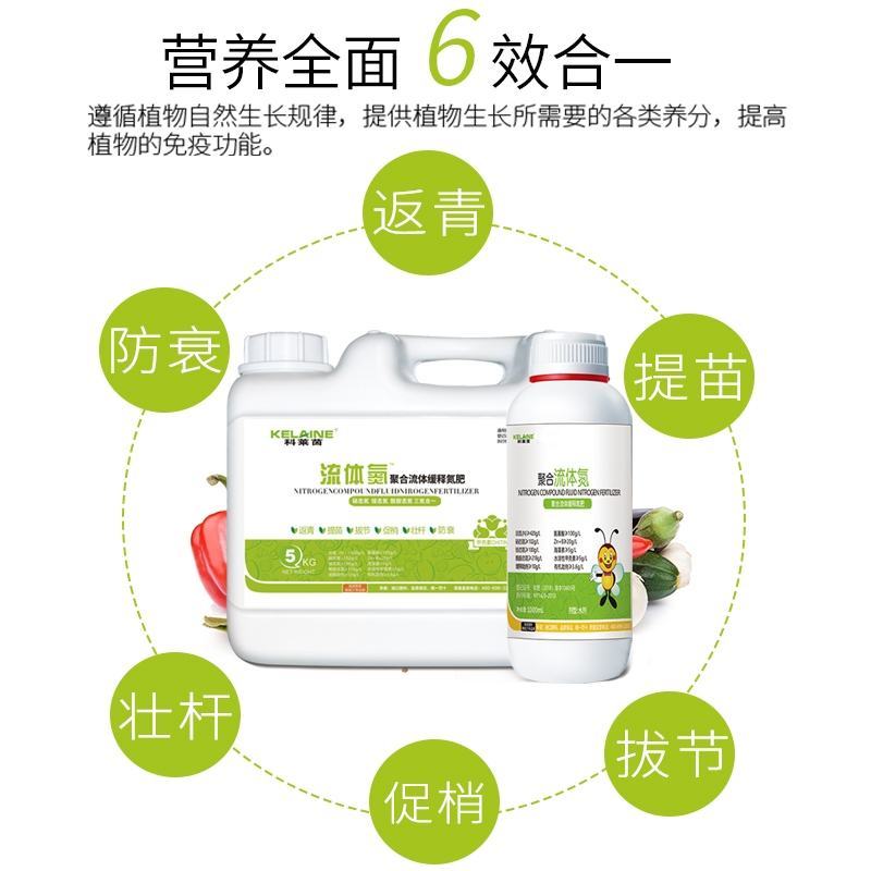 流体氮代替尿素追肥生根壮苗促进光合叶面喷施肥效期久