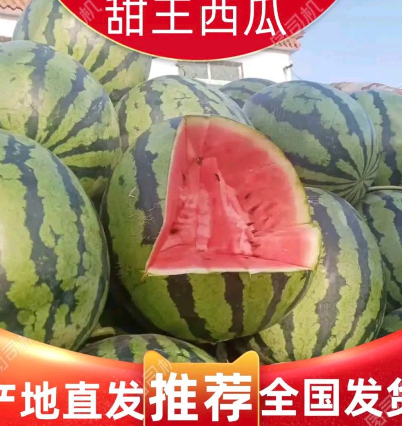 优质西瓜美都，甜王【热卖中】京欣产地直销，保熟保甜