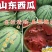 精品西瓜甜王，美都【热卖中】京欣原产地，保熟保甜