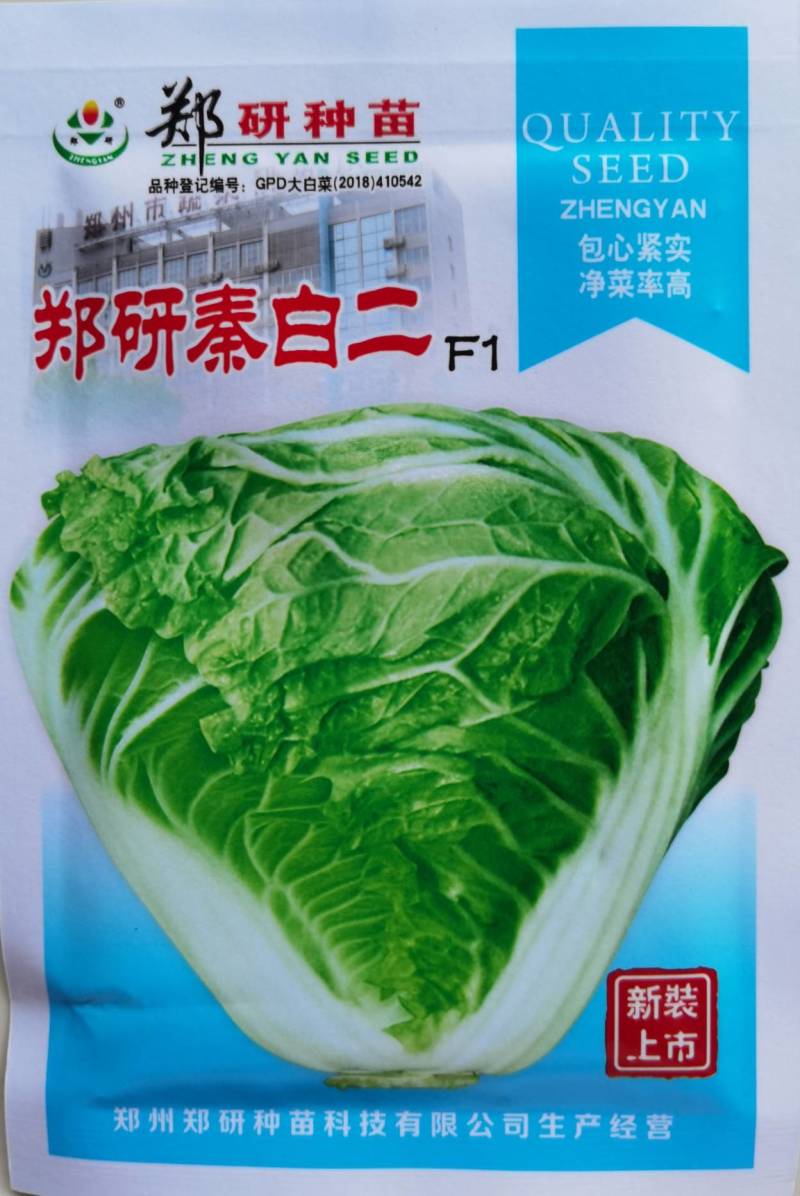 郑研秦白二号白菜种子包心紧实净菜率高晚播早熟种子