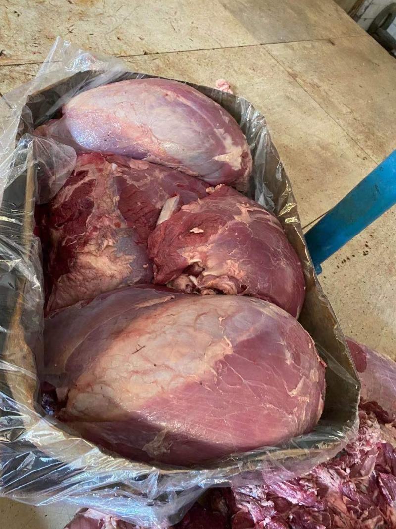 冻牛肉，干牛肉，新鲜，国产残牛，质量保证，
