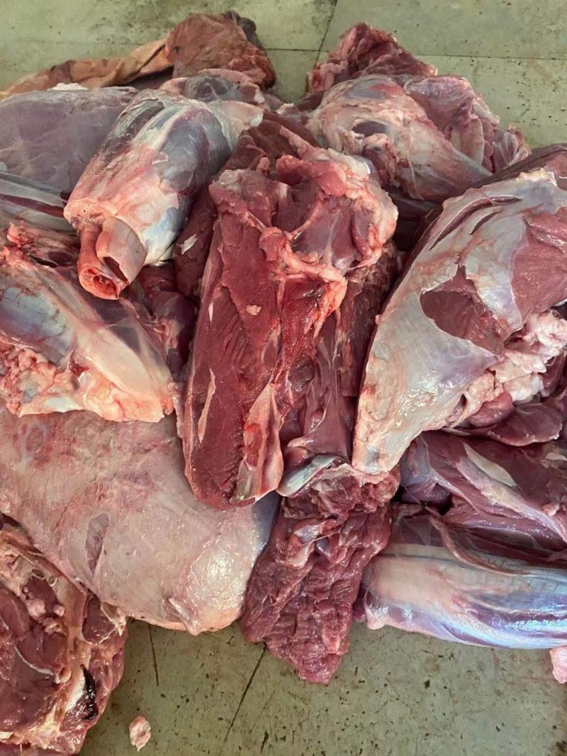 冻牛肉，干牛肉，新鲜，国产残牛，质量保证，