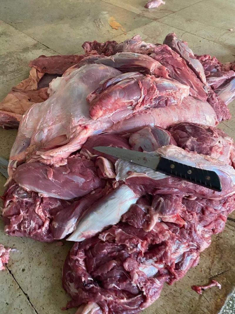 冻牛肉，干牛肉，新鲜，国产残牛，质量保证，