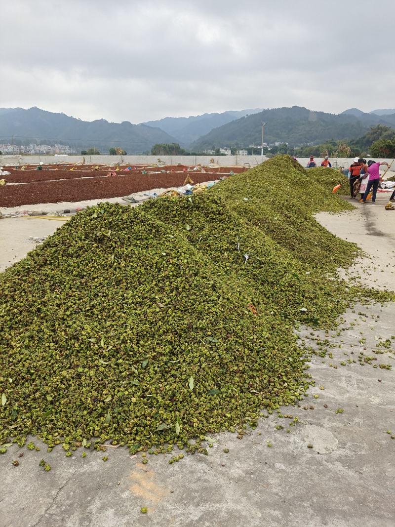 足干无硫食品调味料大红八角汤水果品牌香料