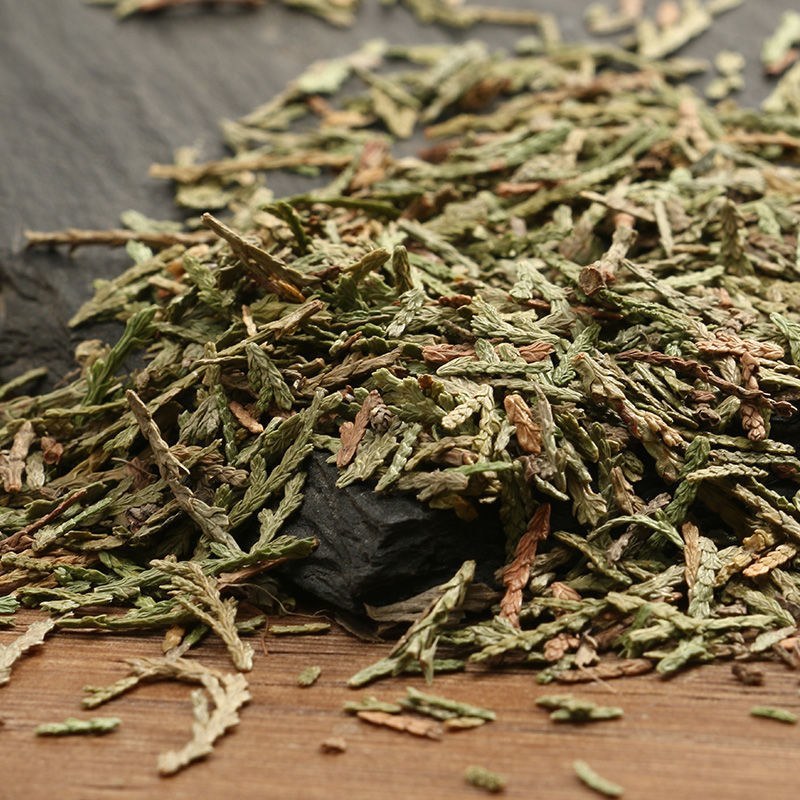 中草药野生侧柏叶扁柏干柏树叶新鲜嗮干磨粉侧柏叶