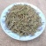 中草药野生侧柏叶扁柏干柏树叶新鲜嗮干磨粉侧柏叶