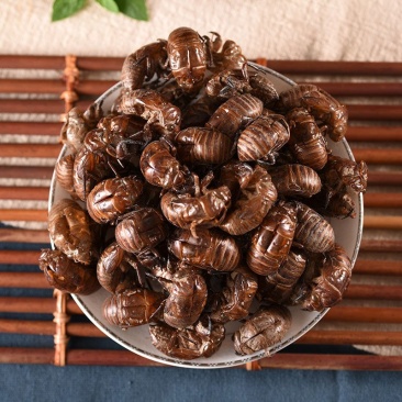 蝉脱中药材干蝉蜕蝉壳蝉退壳虫脱蝉衣蝉蜕