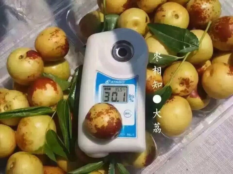 大荔冬枣