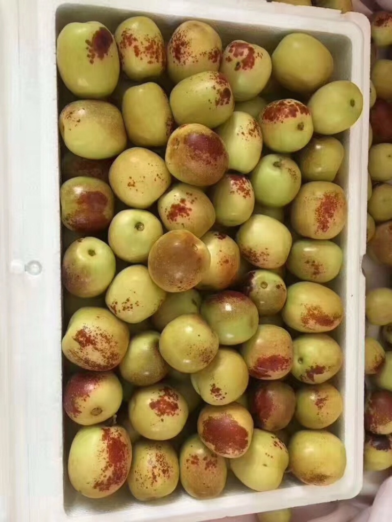 大荔冬枣