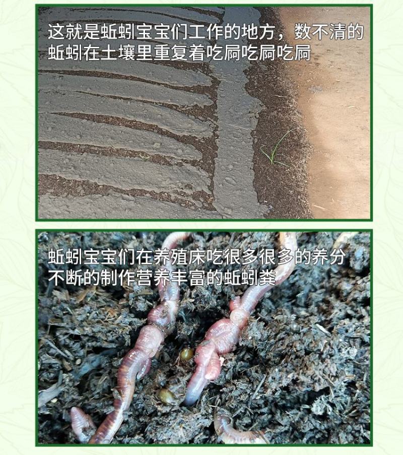 【推荐】蚯蚓粪有机肥营养土禽畜粪便肥料微生物菌肥底肥基肥