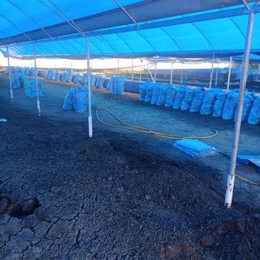 【推荐】蚯蚓粪有机肥禽畜粪便有机肥营养土肥料底肥基肥蚯蚓