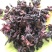 云南玫瑰茄洛神花茶洛神花碎玫瑰茄花瓣酸梅汤原料散装花草茶