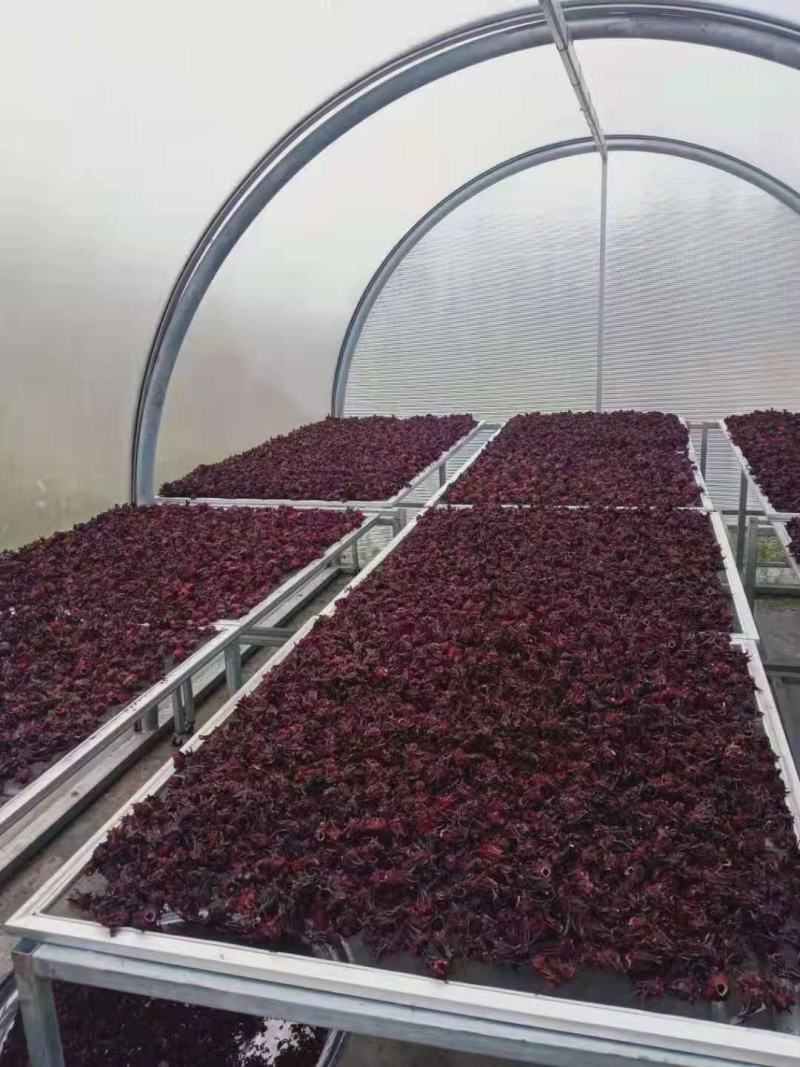 云南玫瑰茄洛神花茶洛神花碎玫瑰茄花瓣酸梅汤原料散装花草茶
