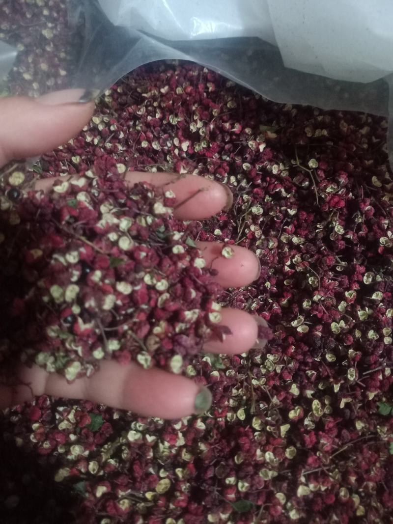 大红袍花椒颜色鲜，味香麻，有需要的联系我，农户自己的贷，