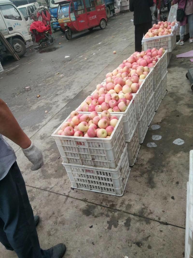 山东红富士苹果，产地货源，价格实惠，膜袋包装，全国发货