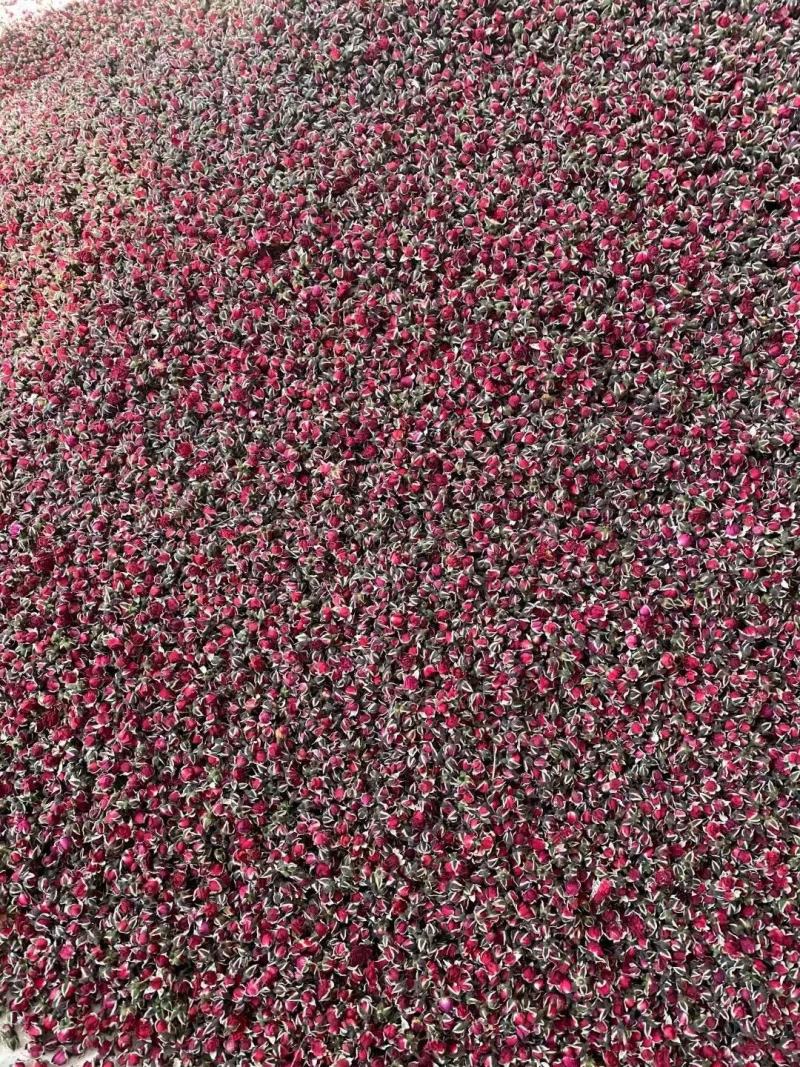 云南金边玫瑰花茶批发产地新货玫瑰花茶批发散装干