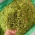 河南封丘金银花茶饮品金银花清热去火原产地厂家直销