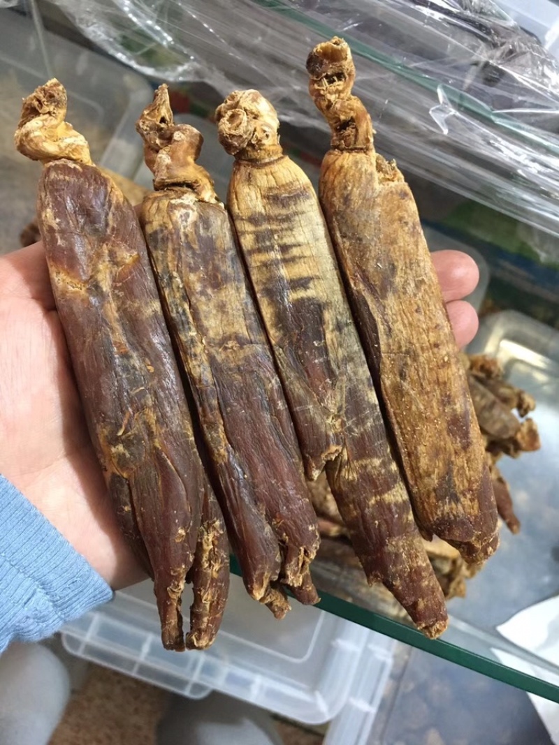 【特大别直参高丽参】高品质正宗高丽参10-12支