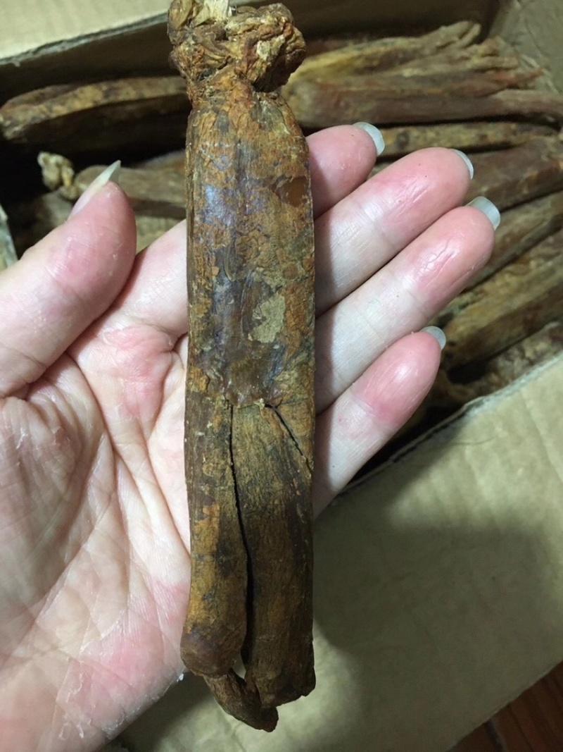 【特大别直参高丽参】高品质正宗高丽参10-12支