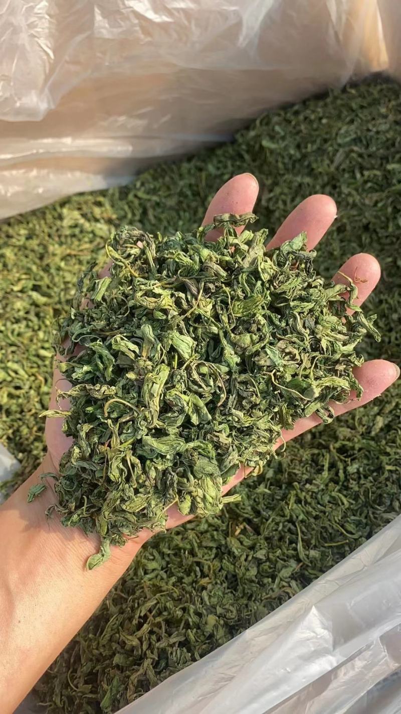 厂家直销批发长白山丁香叶茶叶散装500g新货丁香茶农