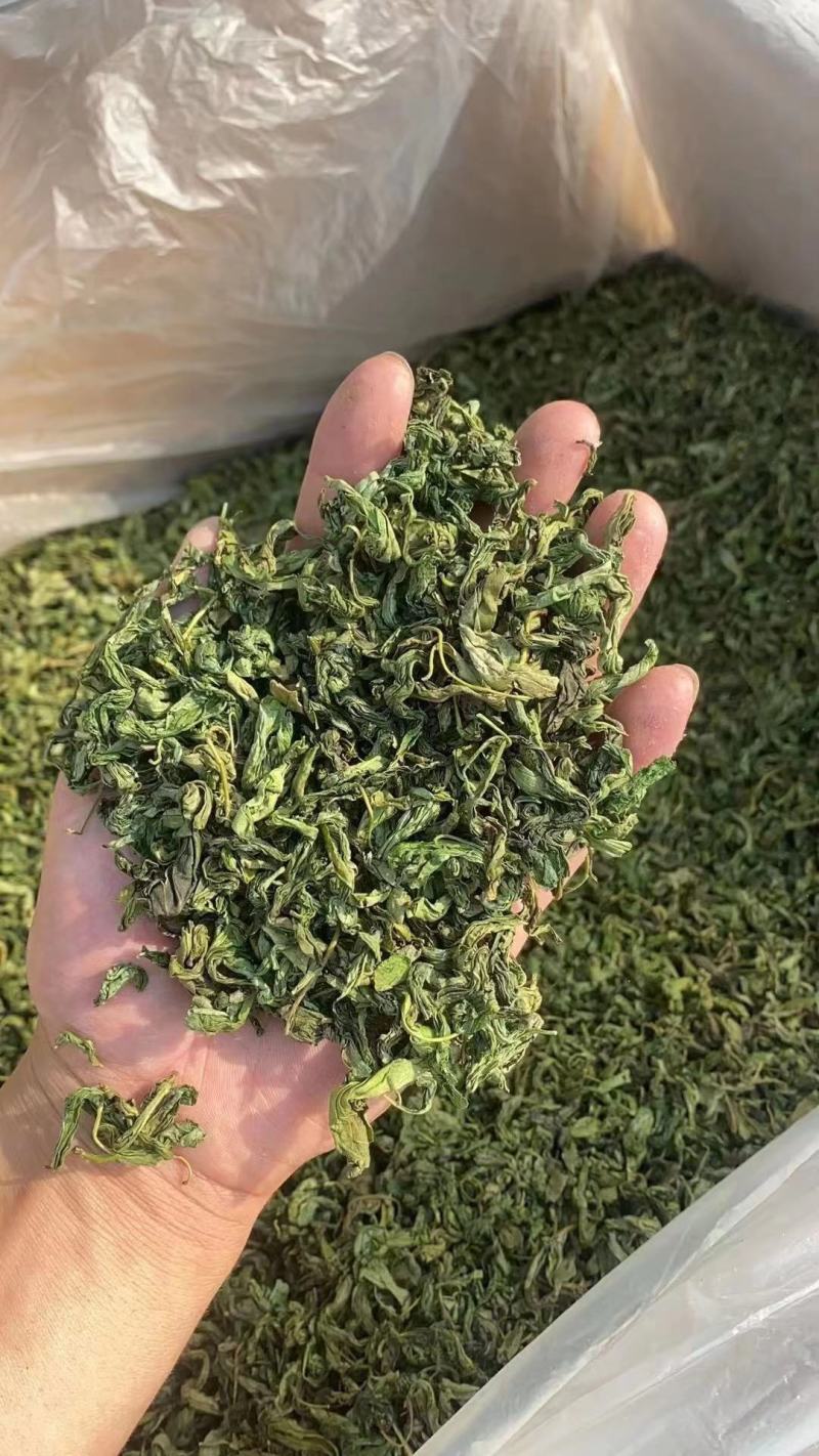 厂家直销批发长白山丁香叶茶叶散装500g新货丁香茶农