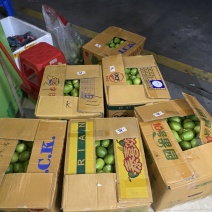 广东香水柠檬
