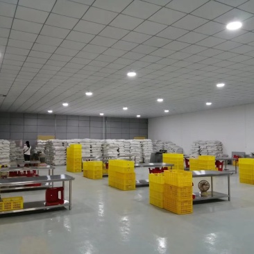 螺蛳粉米粉实体店专用