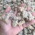 云南文山三七产地批发无差价水洗足干足头量大从优
