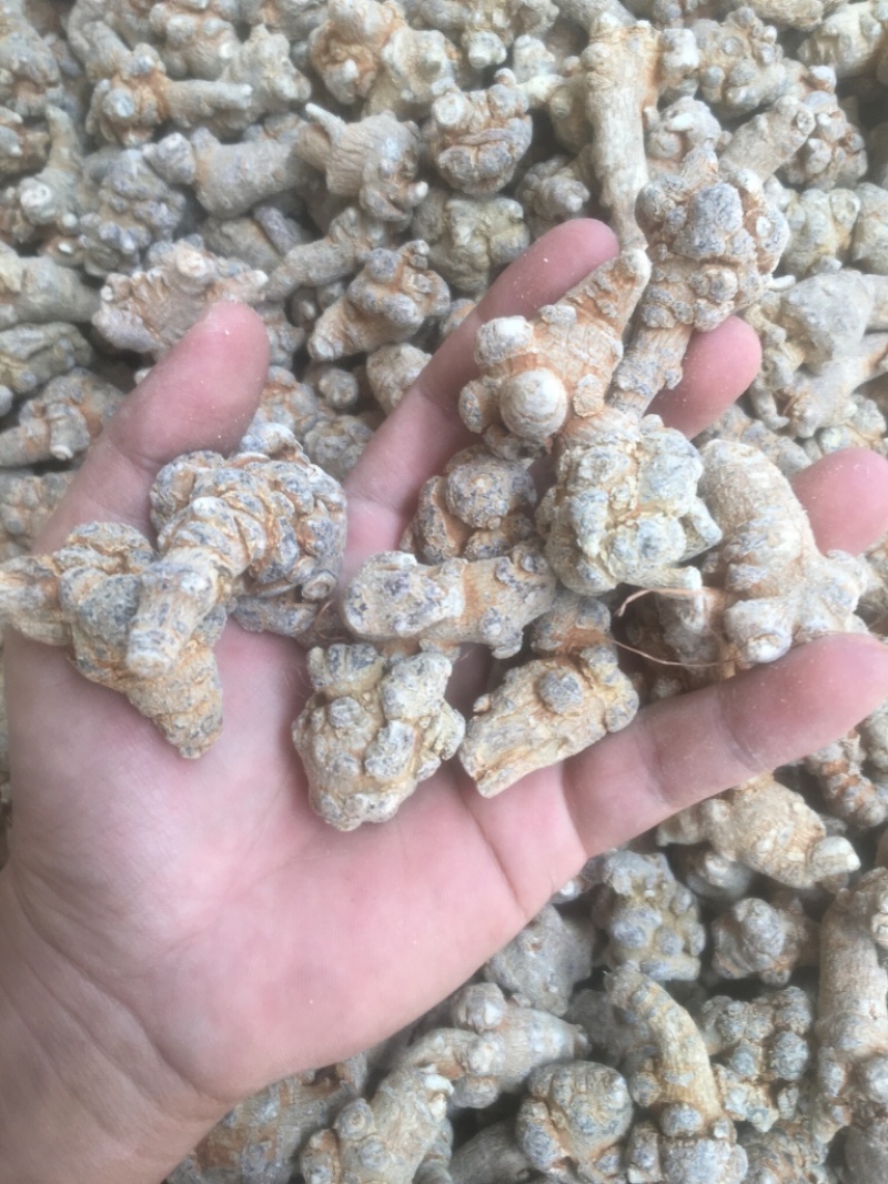 云南文山三七产地批发无差价水洗足干足头量大从优