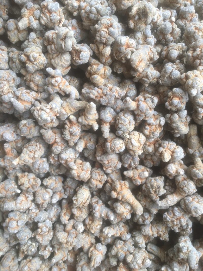 云南文山三七产地批发无差价水洗足干足头量大从优