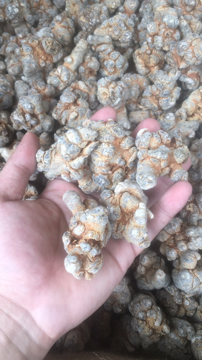 云南文山三七产地批发无差价水洗足干足头量大从优