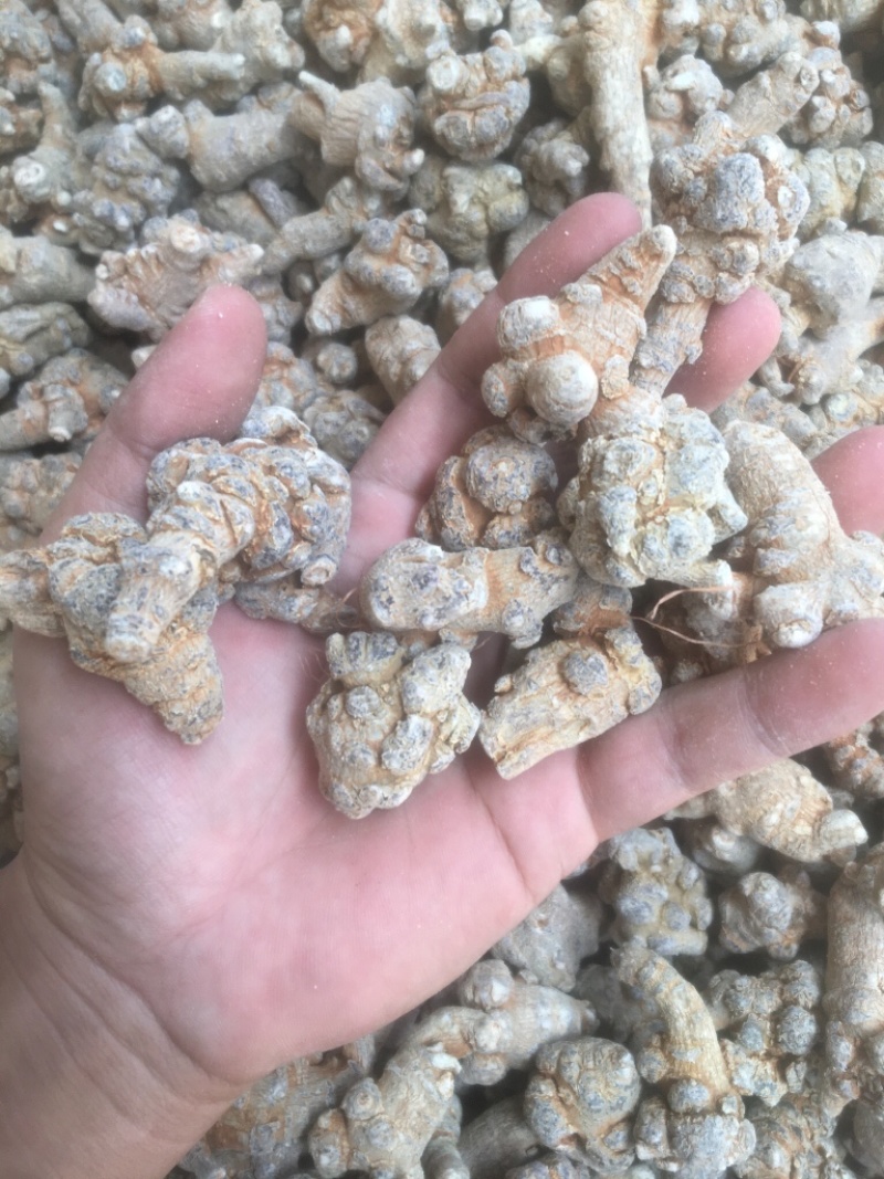 云南文山三七产地批发无差价水洗足干足头量大从优