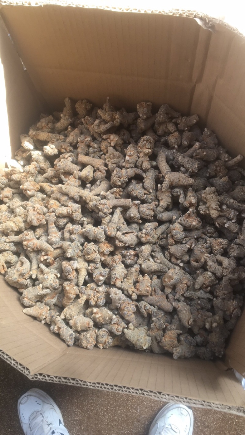 云南文山三七产地批发无差价水洗足干足头量大从优